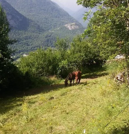 Gite Orus Feriehus